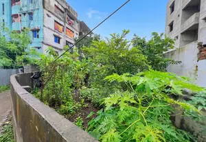 জরুরি ভিত্তিতে বিক্রয়যোগ্য প্লট Ready for Construction
