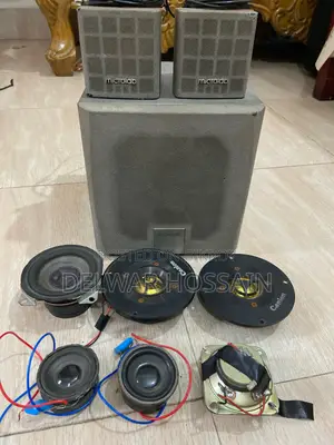 অনলি স্পিকার