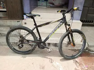 Phoenix cycle