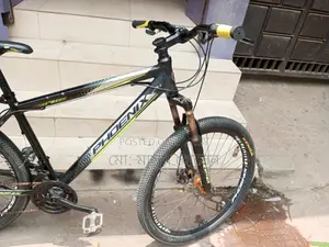 Phoenix cycle