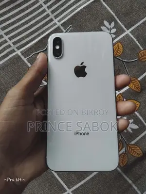 Apple iPhone X (256GB) (Used)