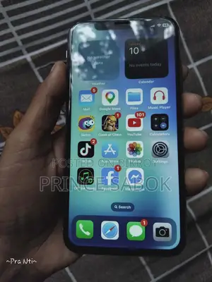 Apple iPhone X (256GB) (Used)
