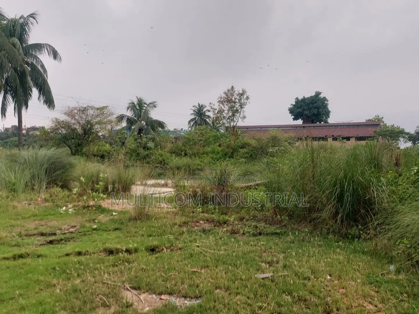 বারপা, নারায়ণগঞ্জে ভাড়ার জন্য ২,২০,০০০ বর্গফুটের খোলা জায়গা