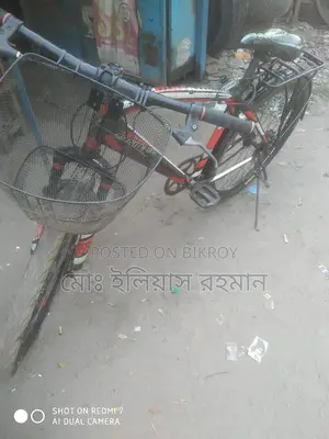Prince Bicycle for Sale