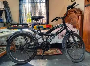 Prince Bicycle