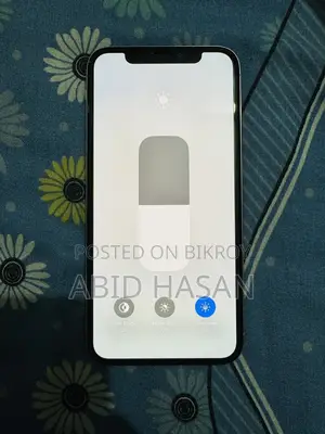 Apple iPhone X 256 GB (Used)