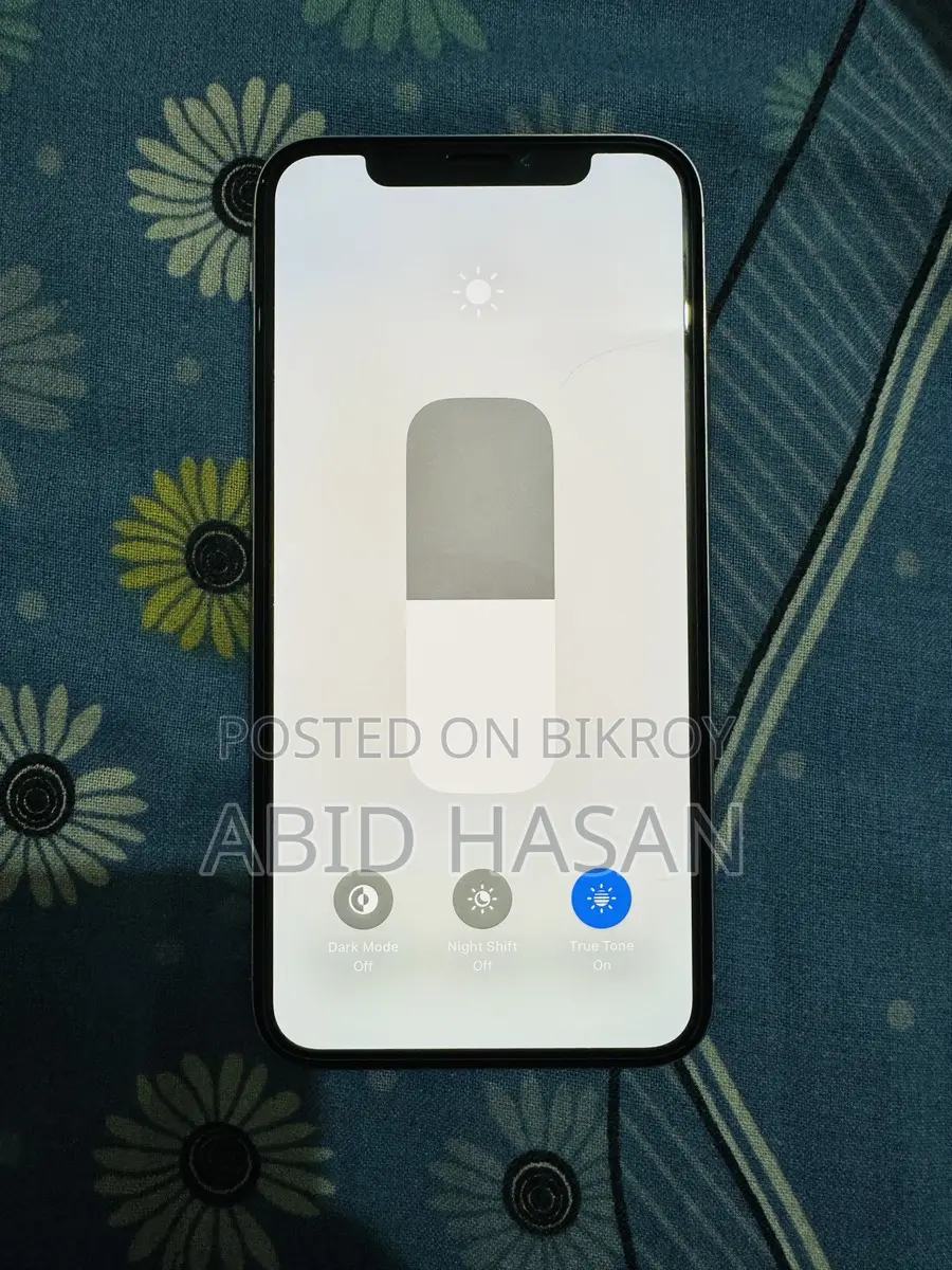 Apple iPhone X 256 GB (Used)