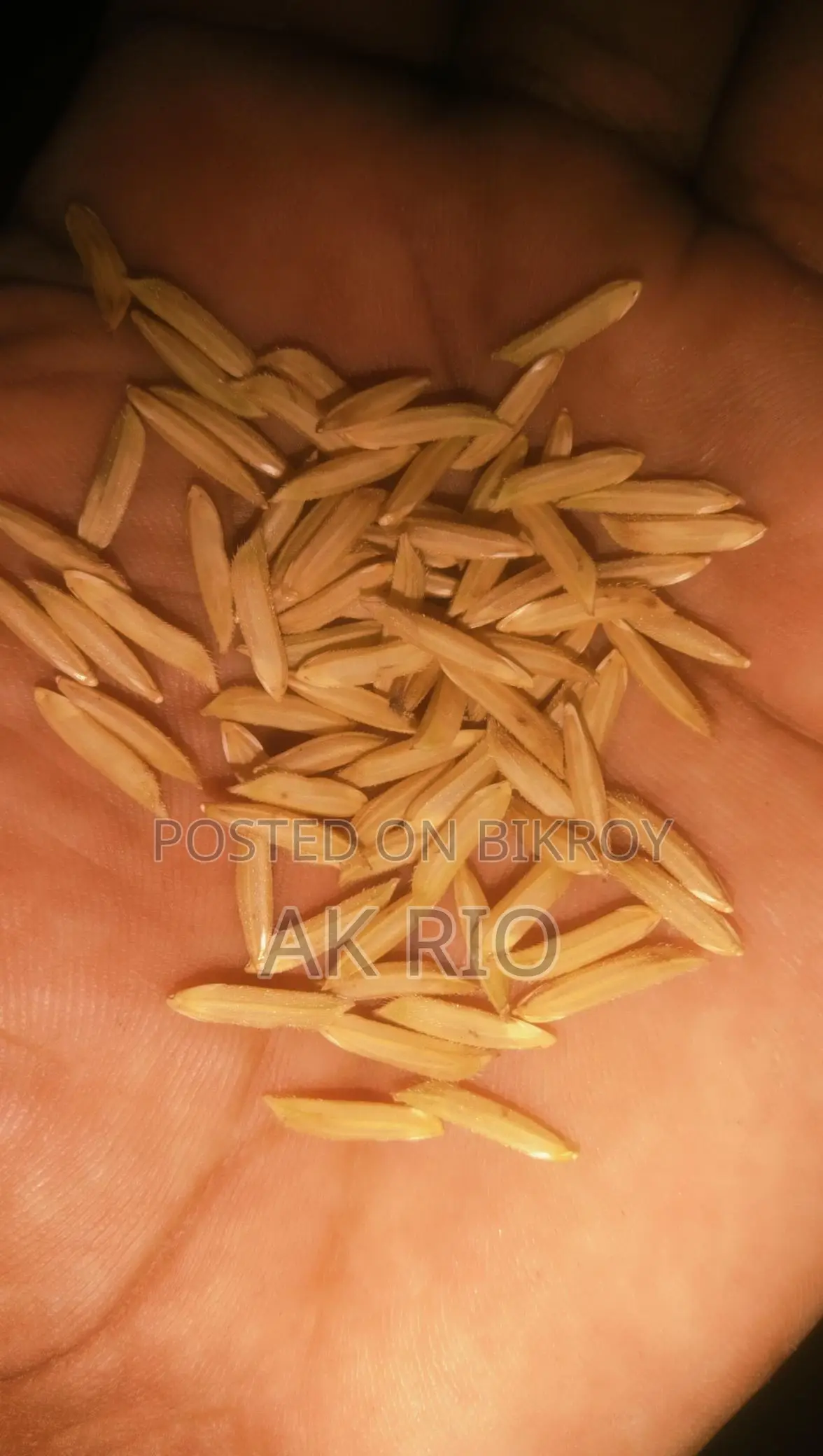Pakistani Long Basmati Rice