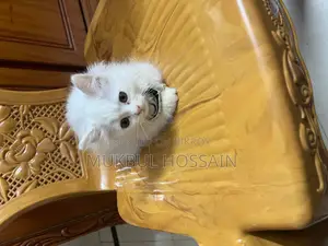 Persian