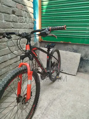 Forever Cycle