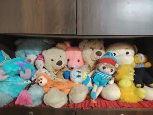 Teddy Bear