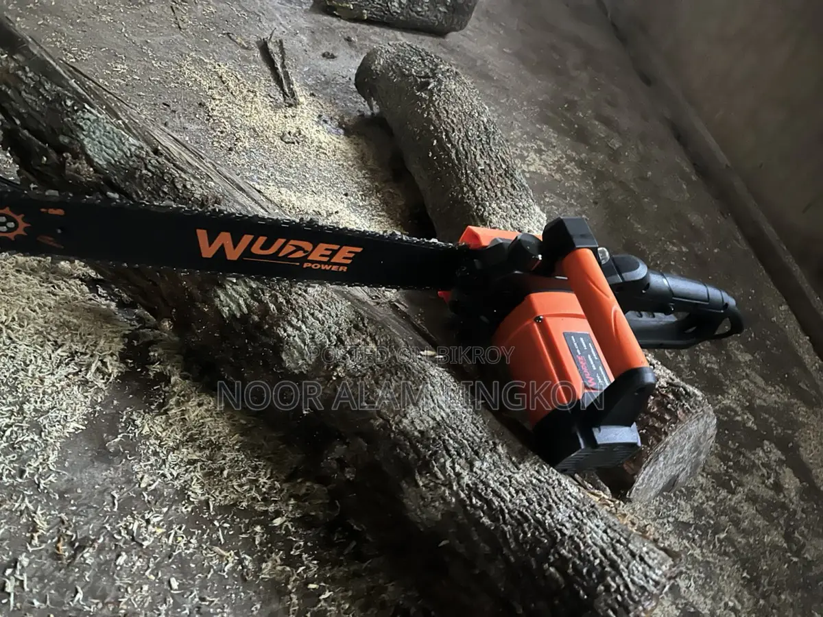 Electric Chain Saw