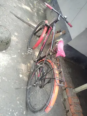 Prince Bicycle
