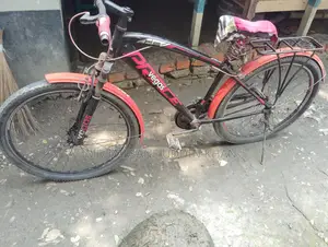 Prince Bicycle