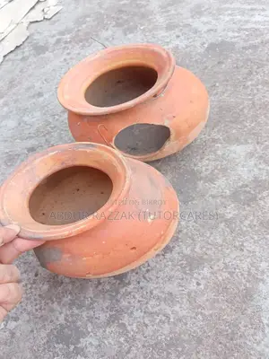 ব্রিডিং হাঁড়ি লাভ বার্ড / বাজারিগর