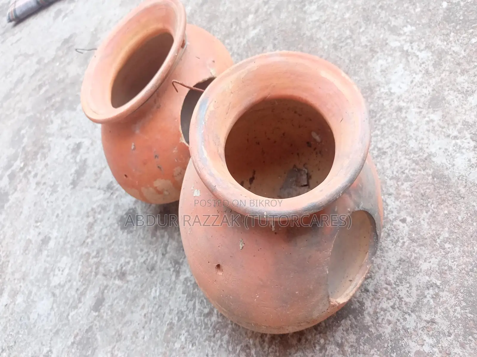 ব্রিডিং হাঁড়ি লাভ বার্ড / বাজারিগর