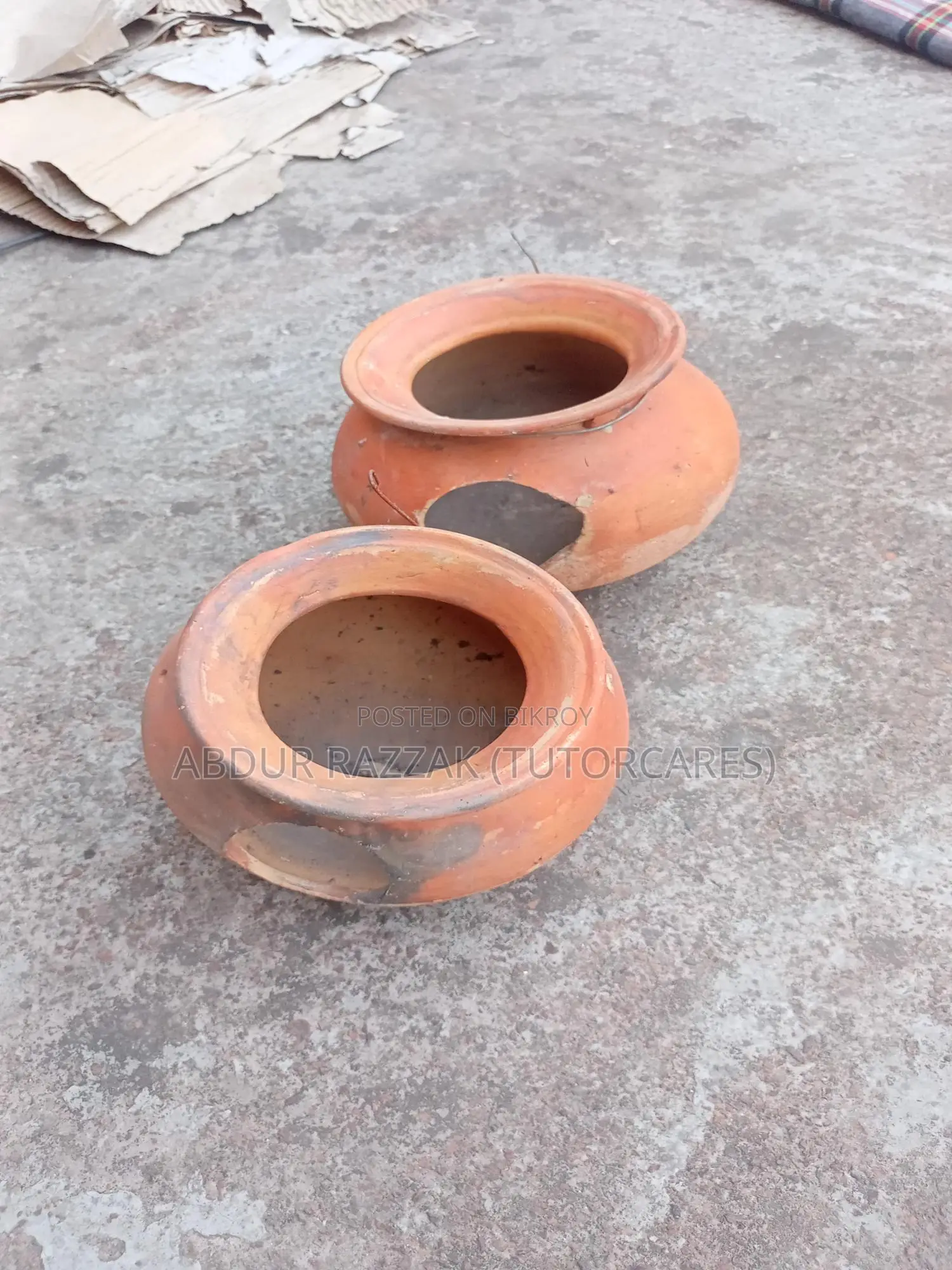 ব্রিডিং হাঁড়ি লাভ বার্ড / বাজারিগর