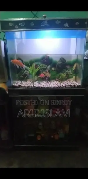 Fish Tank for Sale