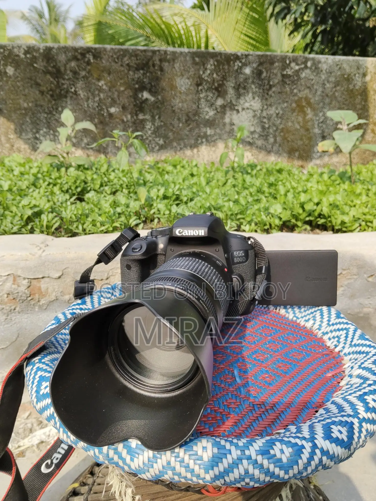 Dslr Camera Cannon Eos 800d