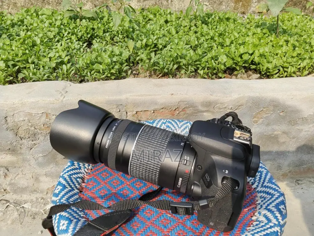 Dslr Camera Cannon Eos 800d