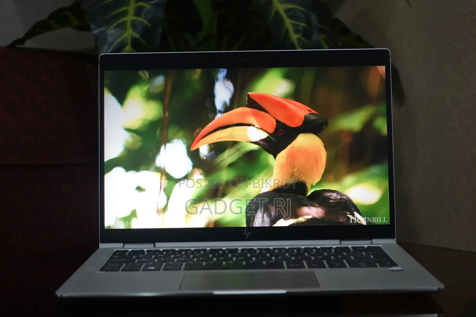 Business Series Laptop