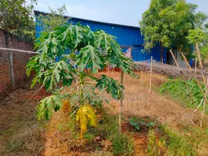 ৪৯ কিলো বিদ্যুৎ লাইন সহ ৫,০০০ স্কয়ারফিট শেড ভাড়া হবে