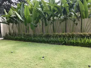 Rent Apartment 5250sqft 2-Carpark Gulshan North