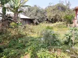 দোকান এবং জমি বিক্রয়