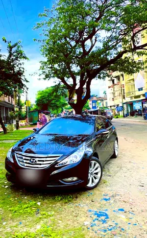 Hyundai Sonata 2011