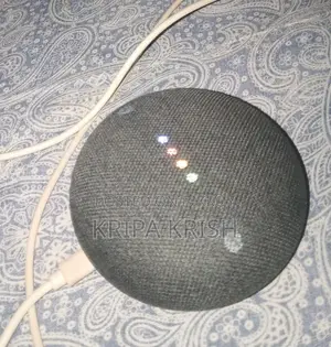 Google Next Mini