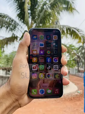 Apple iPhone 11 Pro 256 GB (ব্যবহৃত)