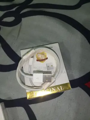 iPhone cable