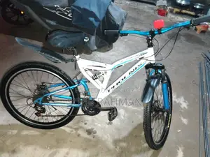 Finiss Bicycle for Sale