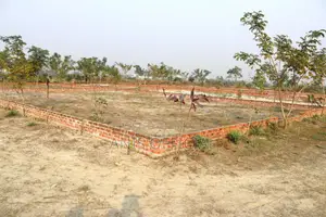 আজই আপনার পছন্দের প্লট কিনুন,এখনি বাড়ি র্নিমান করুন।।