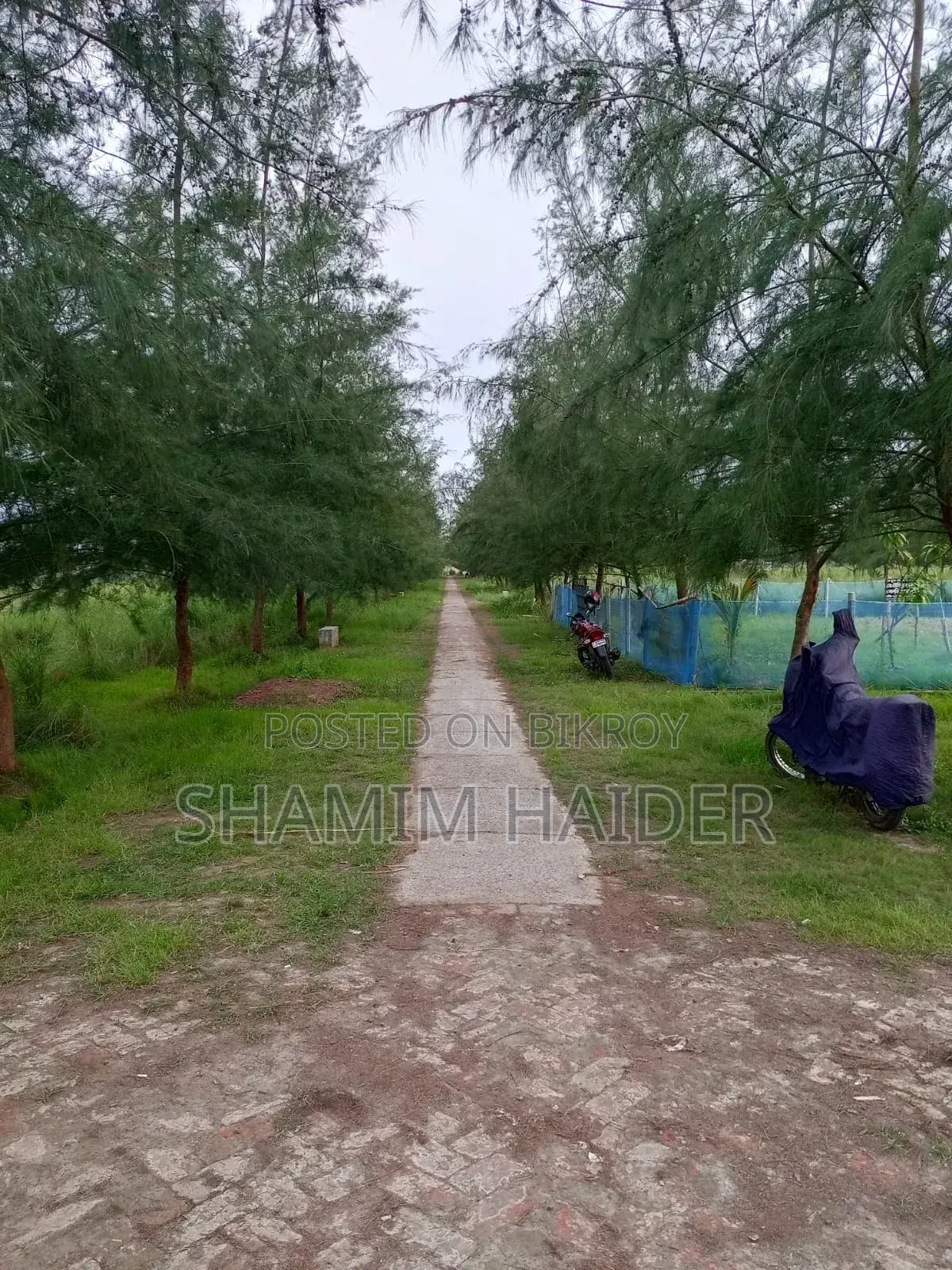 Plot for Sale