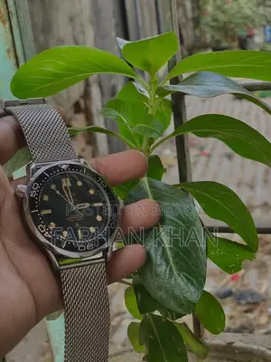 Omega Watch
