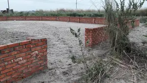 10-Katha South-facing plot for urgent sale in P-Block