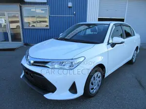 Toyota Axio EX 2020