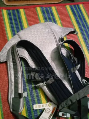 Baby Carry Bag and Walker