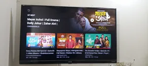 Singer 43" Tv