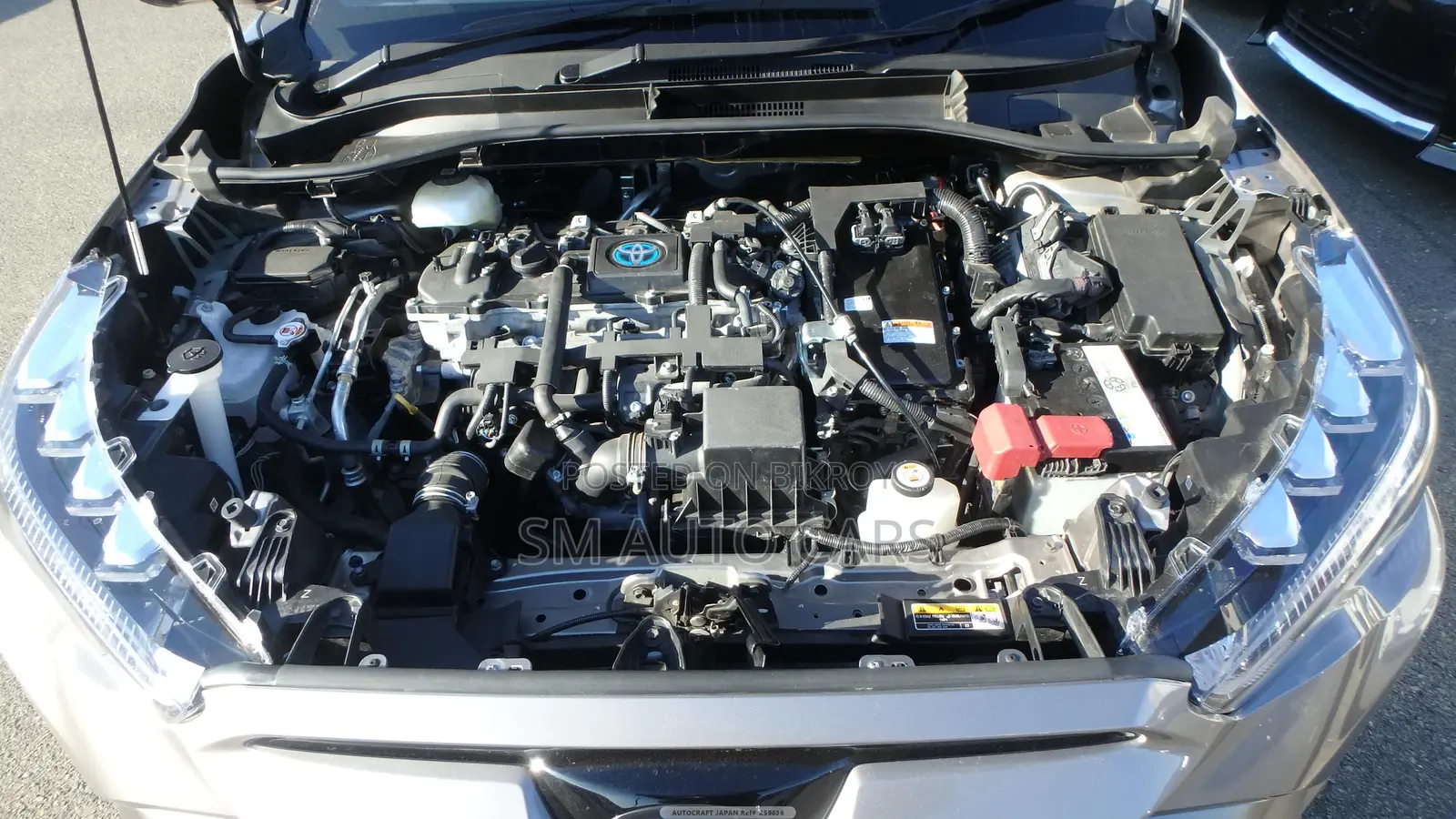Toyota Corolla Cross 2023 Brown