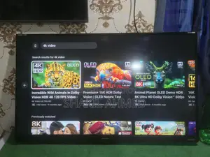 Singer 32" voice control tv