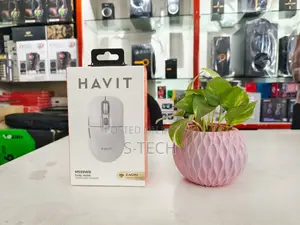 Havit MS59WB Dual Mode Wireless Mouse