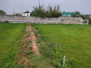 Low-priced low-lying land for sale