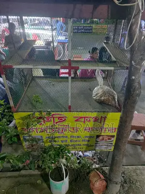 Food Cart Sell