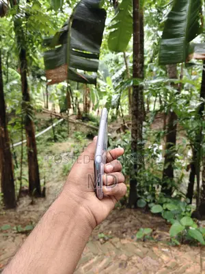Apple iPhone 11 128 জিবি (Used)