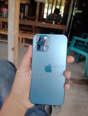 New Apple iPhone 12 Pro Max 256 GB Green