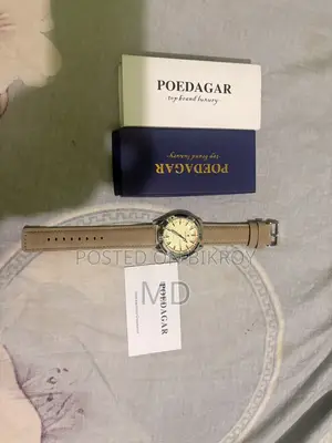 Poedagar Men’s Luxury Leather Watch