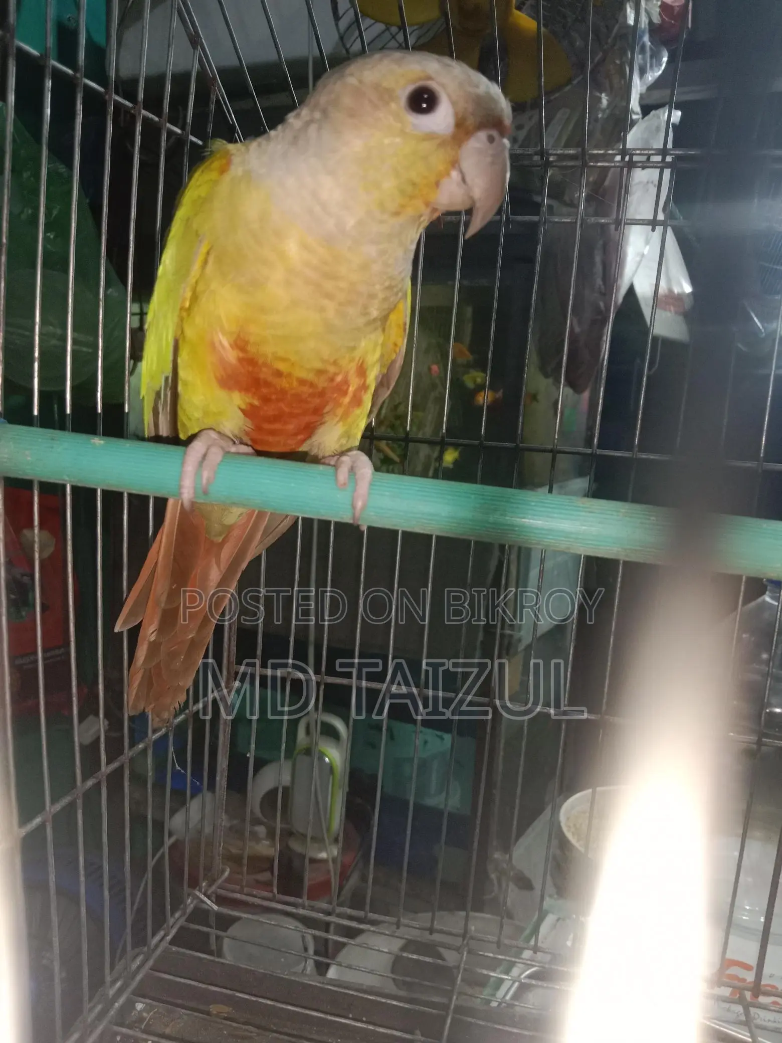 পাইনাপেল কুনুর বিক্রি হবে