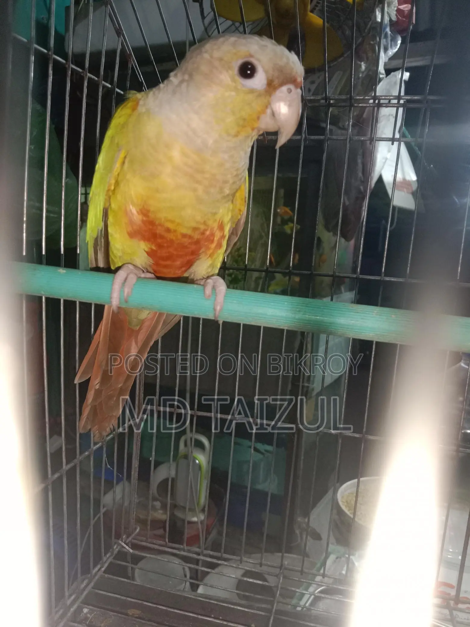 পাইনাপেল কুনুর বিক্রি হবে